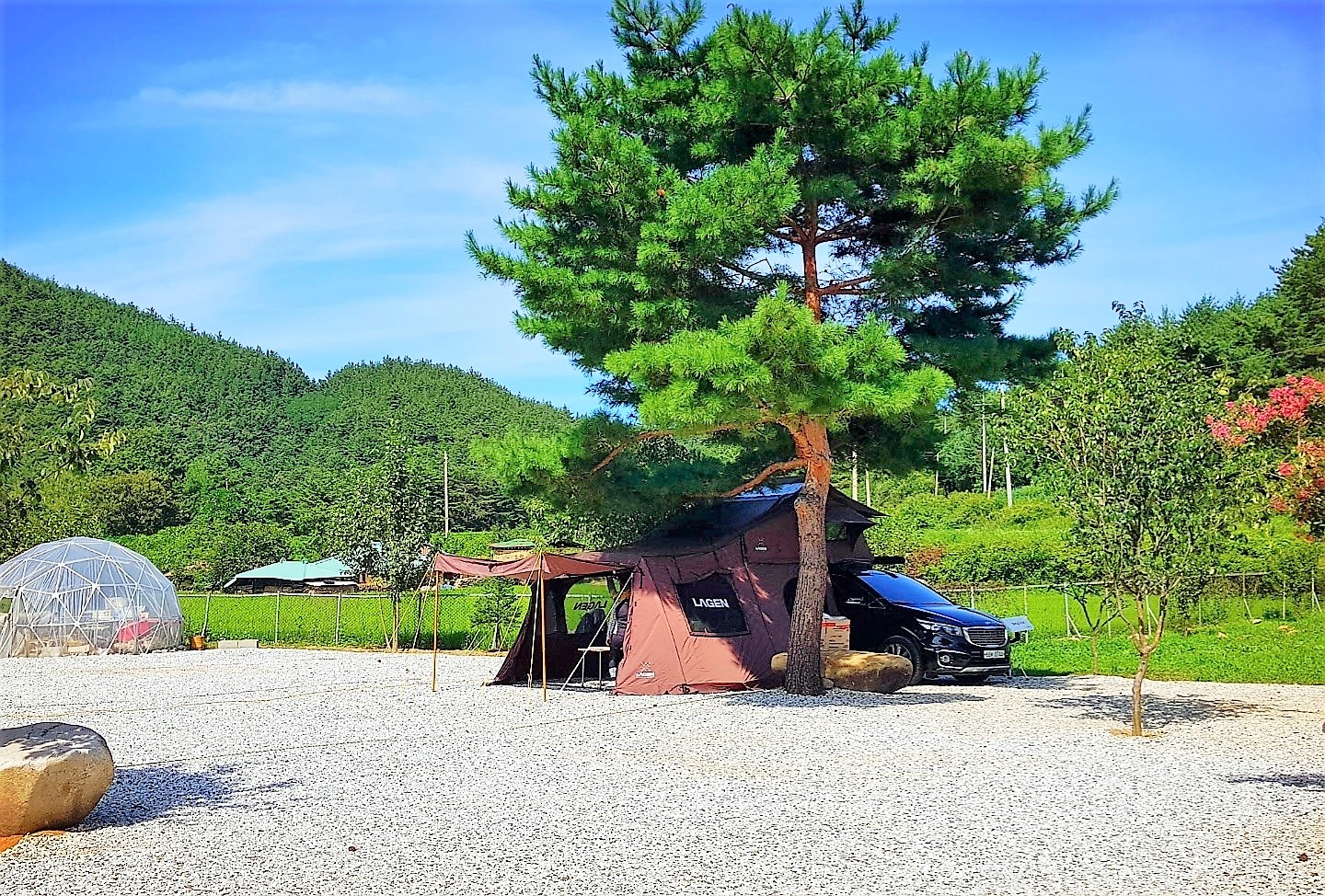 당일3