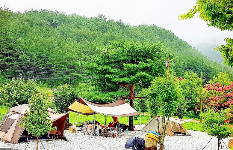 당일2
